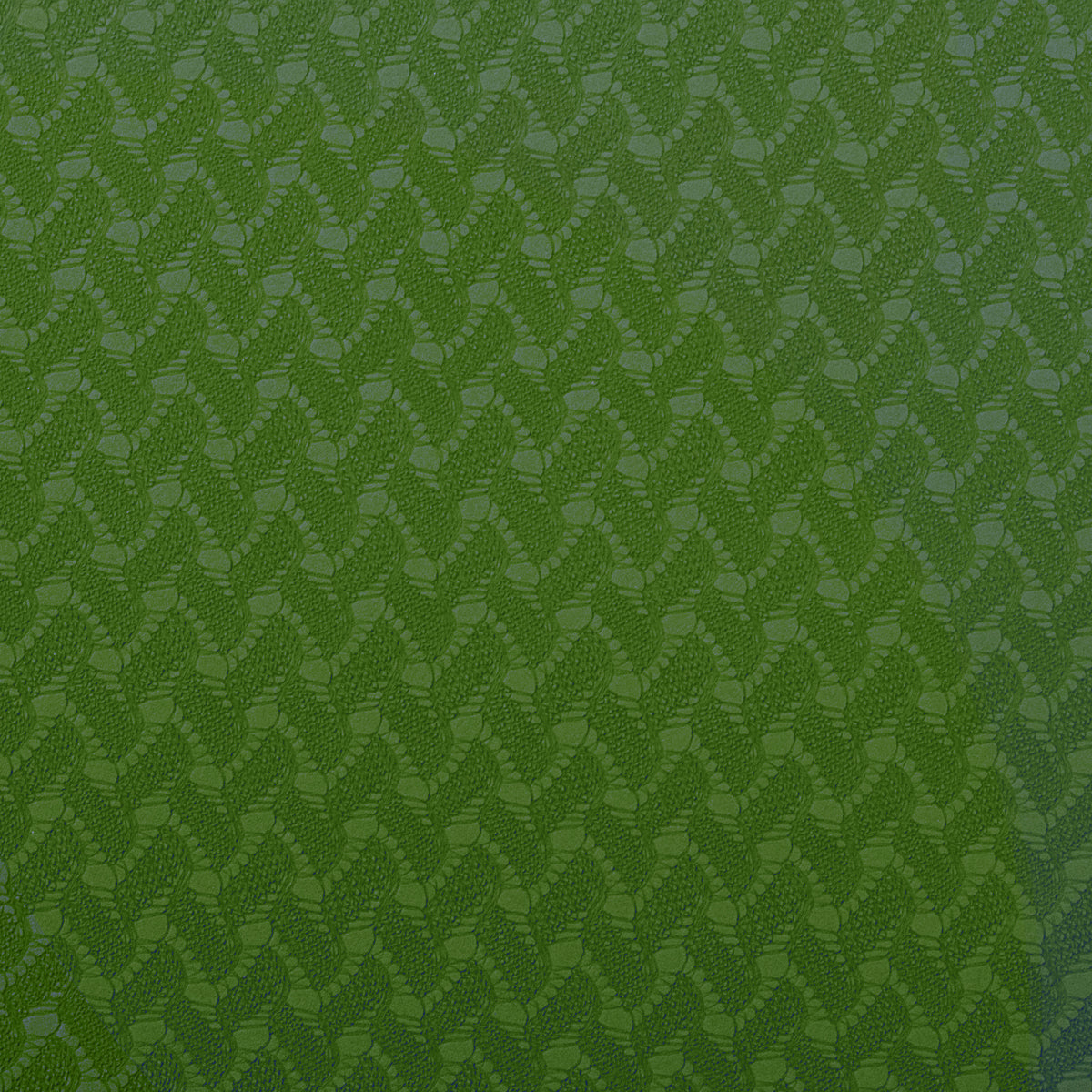 RAY STAR 6mm Double Layer Green TPE Yoga Mat for Premium Pilates Fitness Exercise Mat High Density Anti-Tear Sweat-Proof